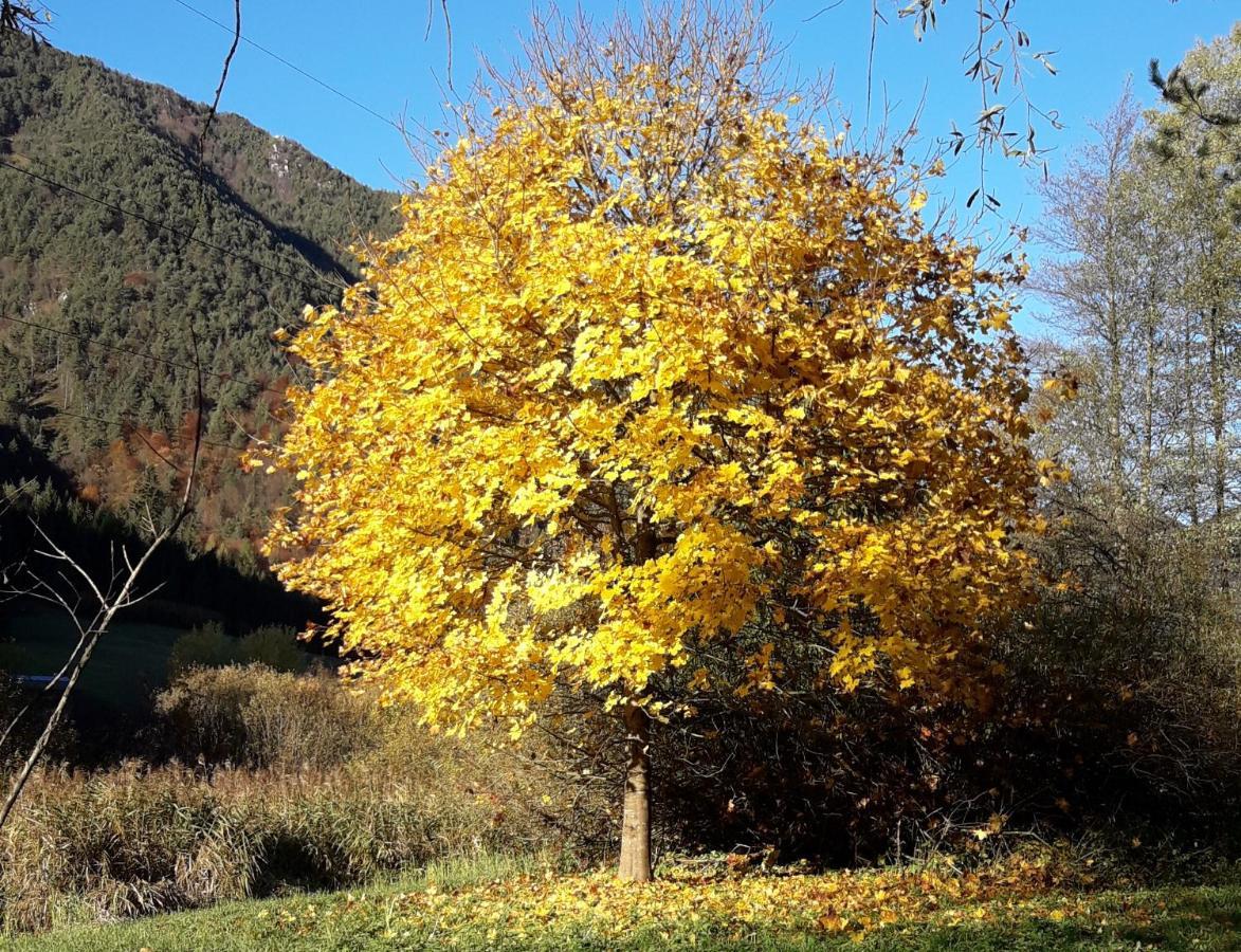 Ferienwohnung La Mansarda Di Rossella Pieve Di Ledro Exterior foto